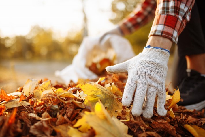 Seasonal cleaning home outdoors during autumn